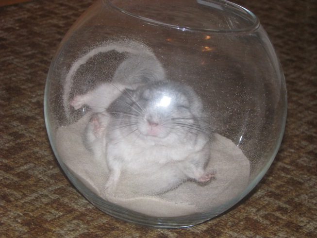 Sn%EDmek%20141_1.jpg