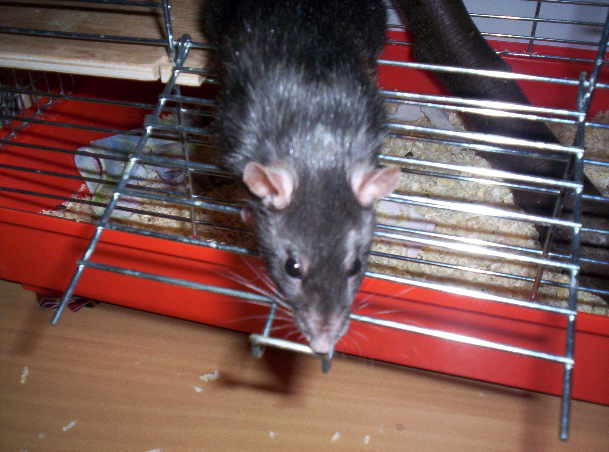 000_4477.JPG